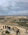 hagarschubert Altpins Profile Picture