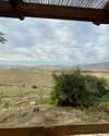 hagarschubert Altpins Profile Picture