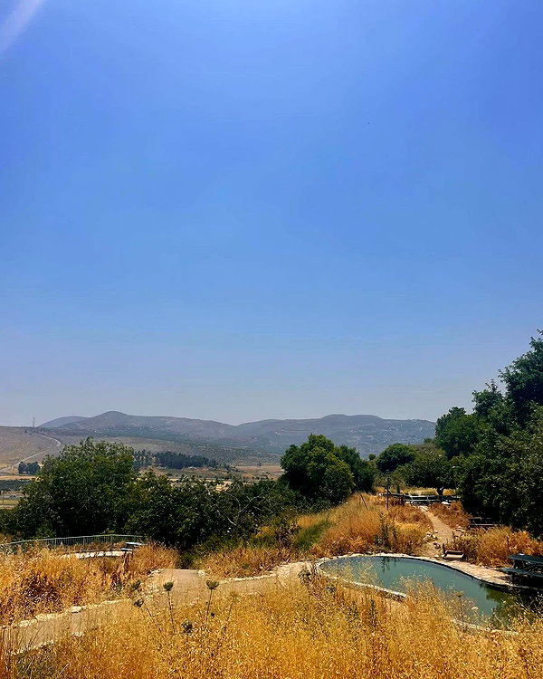 hagarschubert instagram image archive image
