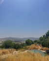 hagarschubert Altpins Profile Picture