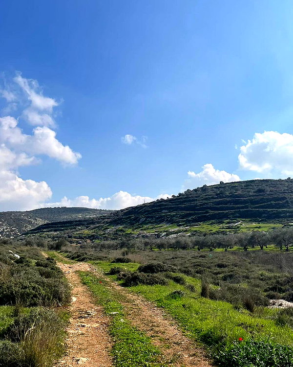 hagarschubert instagram image archive image
