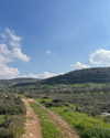 hagarschubert Altpins Profile Picture