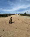 hagarschubert Altpins Profile Picture