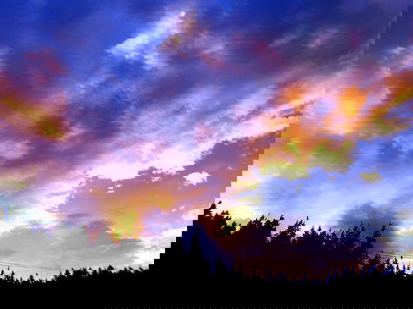 jaroslava_klavir jaroslava_klavir archive image