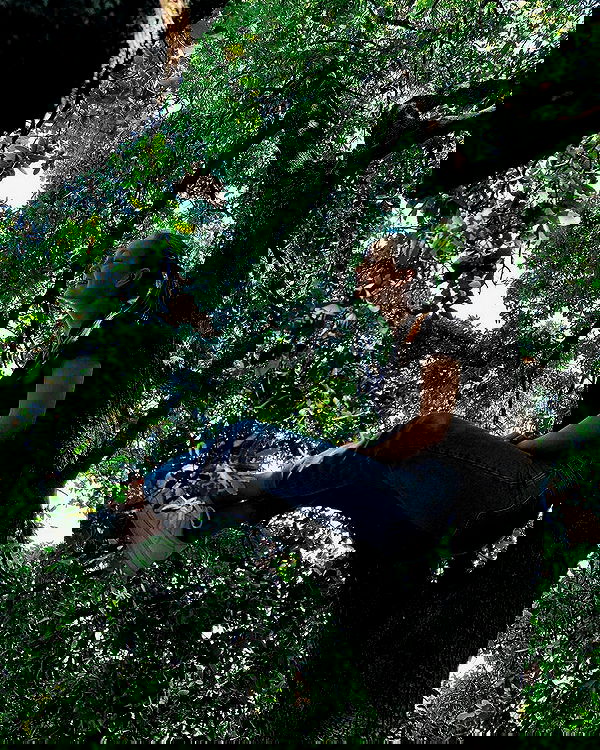 jaroslava_klavir jaroslava_klavir archive image