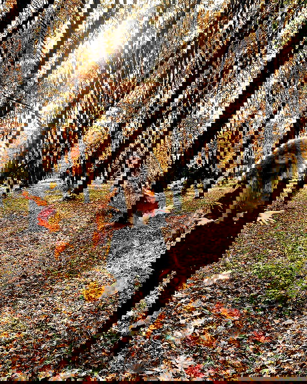 jaroslava_klavir jaroslava_klavir archive image