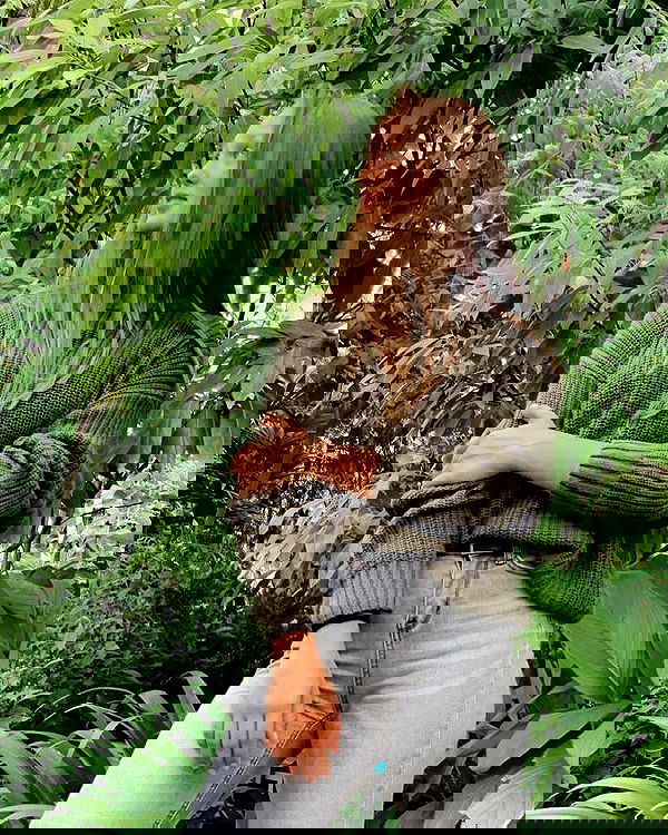 jaroslava_klavir jaroslava_klavir archive image