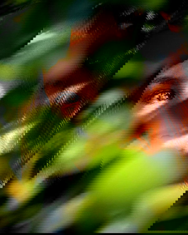 jaroslava_klavir jaroslava_klavir archive image