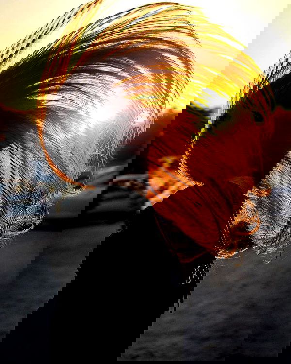 jaroslava_klavir jaroslava_klavir archive image