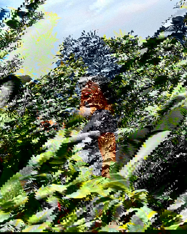 jaroslava_klavir jaroslava_klavir archive image