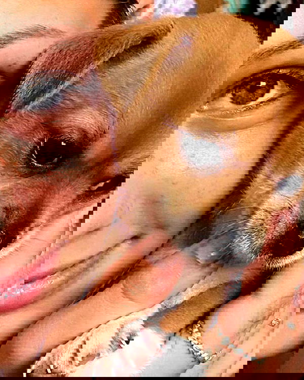 jaroslava_klavir jaroslava_klavir archive image