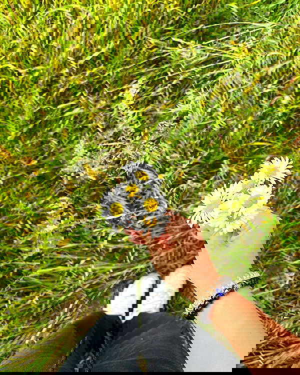 jaroslava_klavir jaroslava_klavir archive image