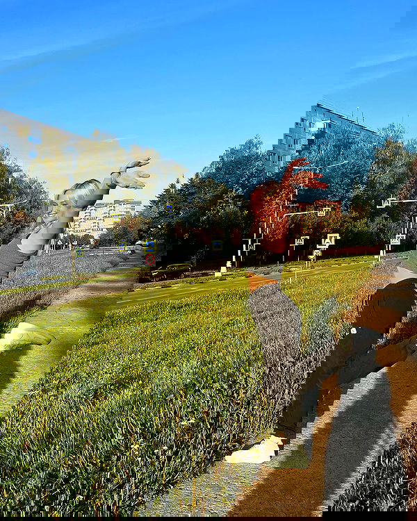 jaroslava_klavir jaroslava_klavir archive image