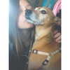 karina_vusiker Altpins Profile Picture