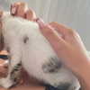 kimmm.c4 Altpins Profile Picture