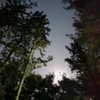 kimmm.c4 Altpins Profile Picture