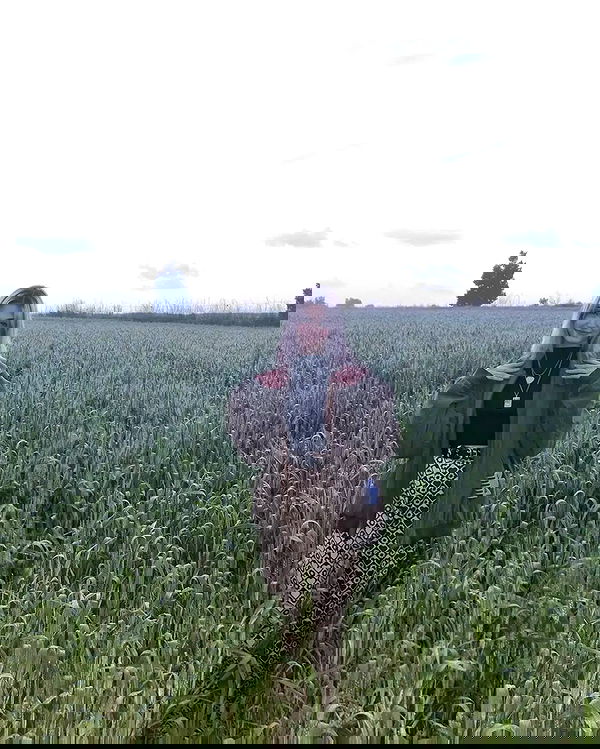 laluzone laluzone archive image