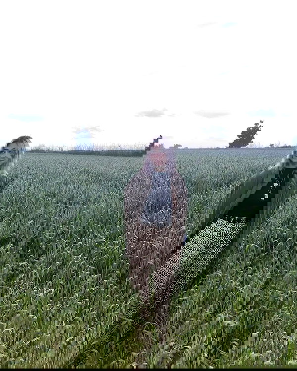 laluzone laluzone archive image