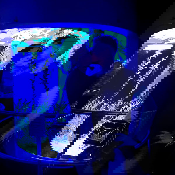 laluzone laluzone archive image