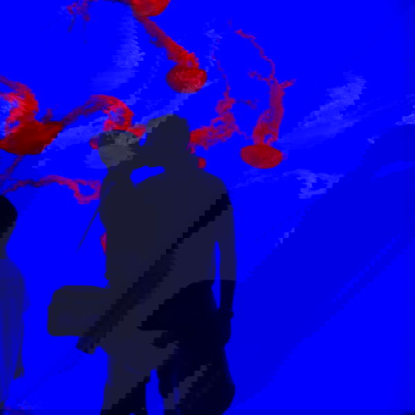 laluzone laluzone archive image