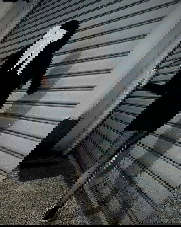 laluzone laluzone archive image