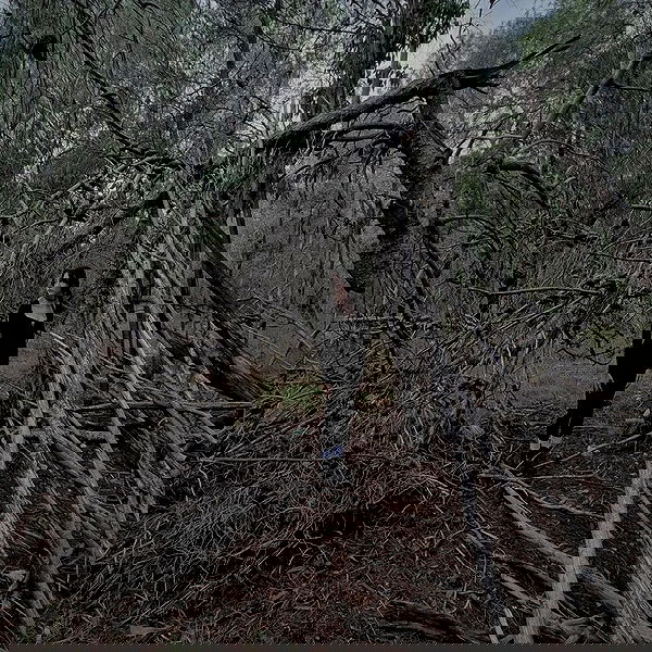 laluzone laluzone archive image