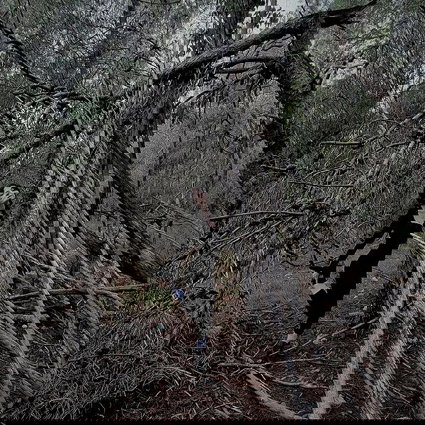 laluzone laluzone archive image