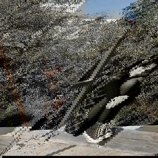 laluzone laluzone archive image