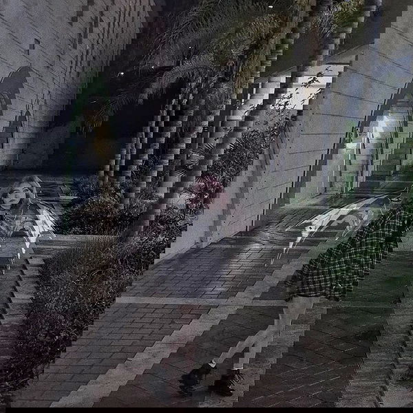 laluzone laluzone archive image