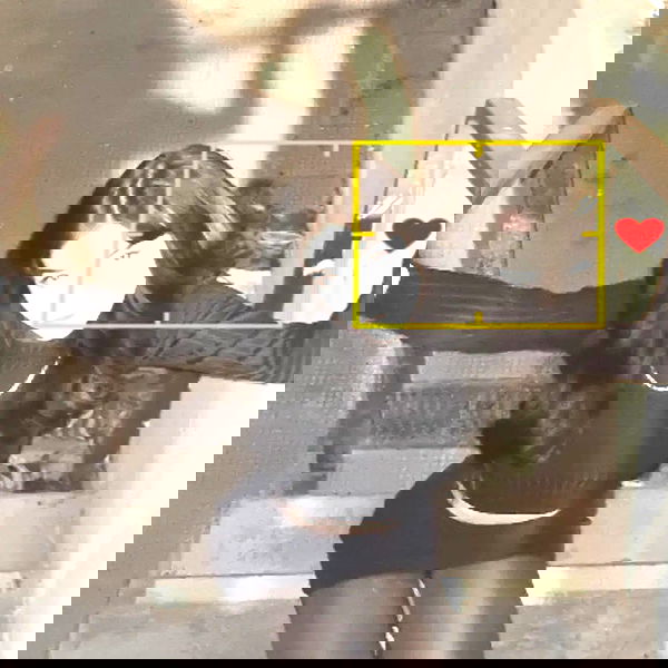 laluzone laluzone archive image