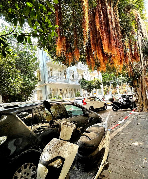 lian.gur instagram image archive image