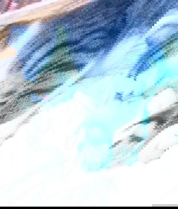 liashaked liashaked archive image