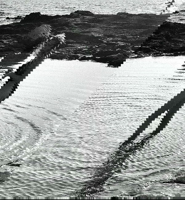 liashaked liashaked archive image