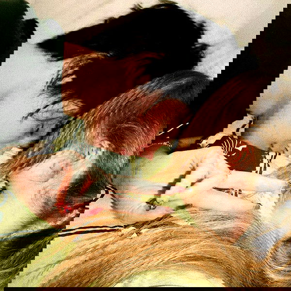 liashaked liashaked archive image