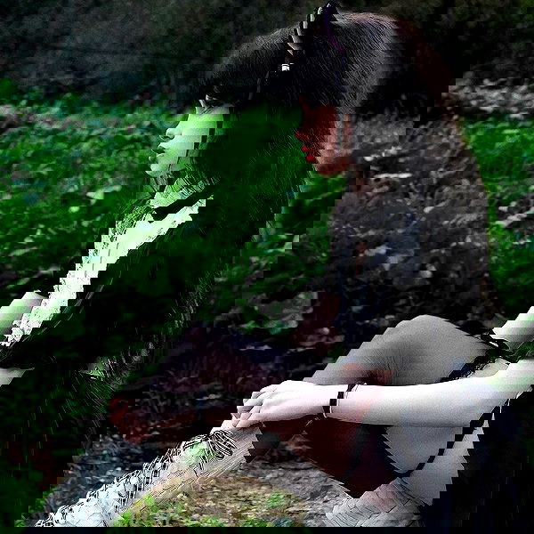 liashaked liashaked archive image