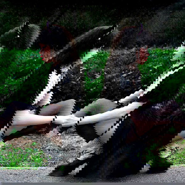 liashaked liashaked archive image