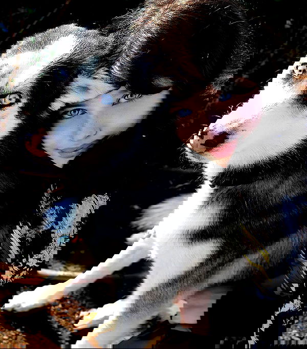 liashaked liashaked archive image