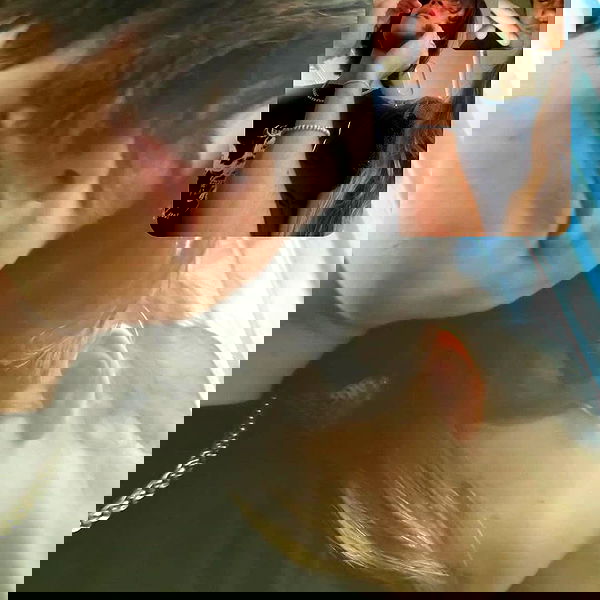 liashaked liashaked archive image