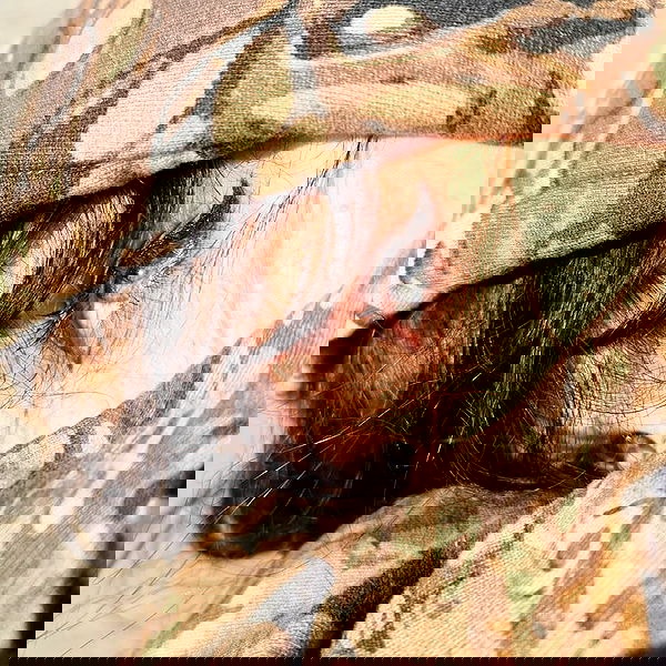 liashaked liashaked archive image