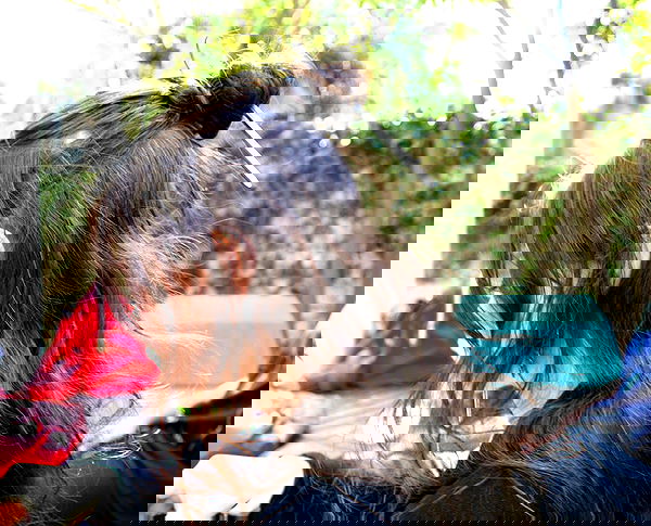 liashaked liashaked archive image