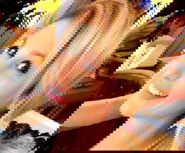 liashaked liashaked archive image