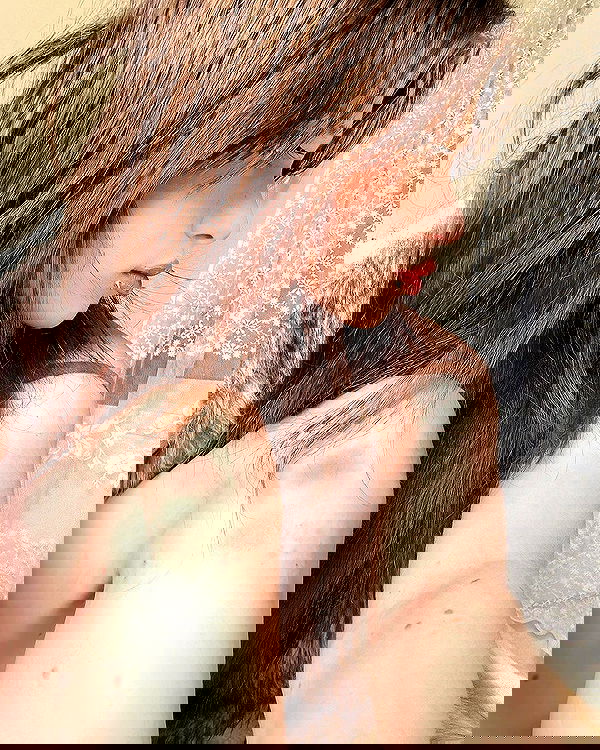 liashaked liashaked archive image