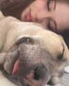 liashaked Altpins Profile Picture