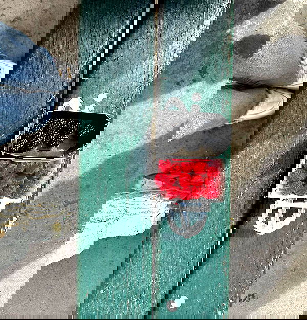 liashaked liashaked archive image