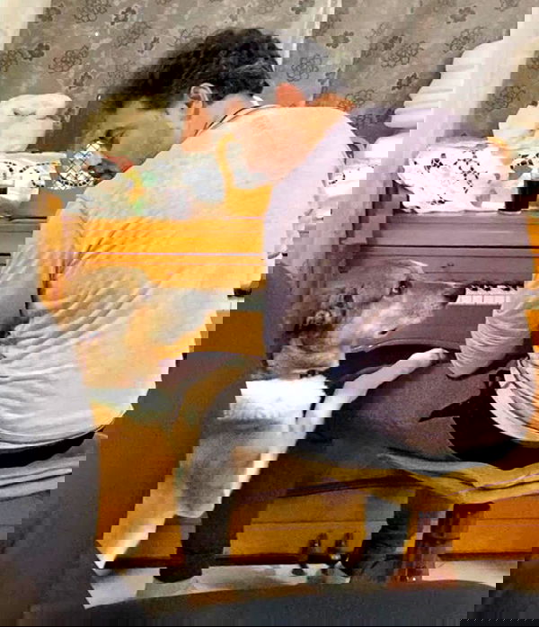 liashaked liashaked archive image