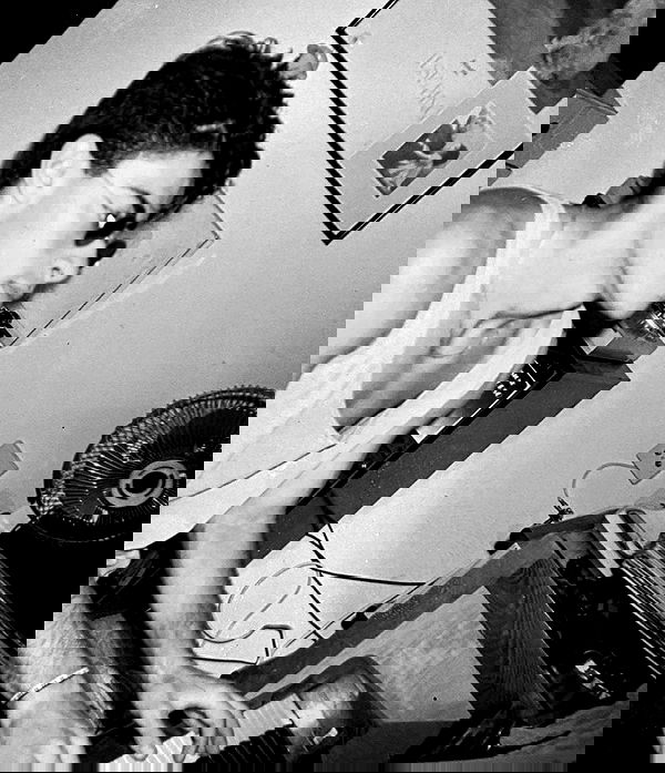 liashaked liashaked archive image