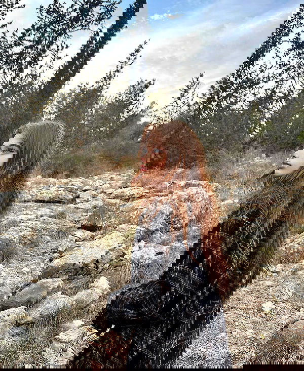 liashaked liashaked archive image