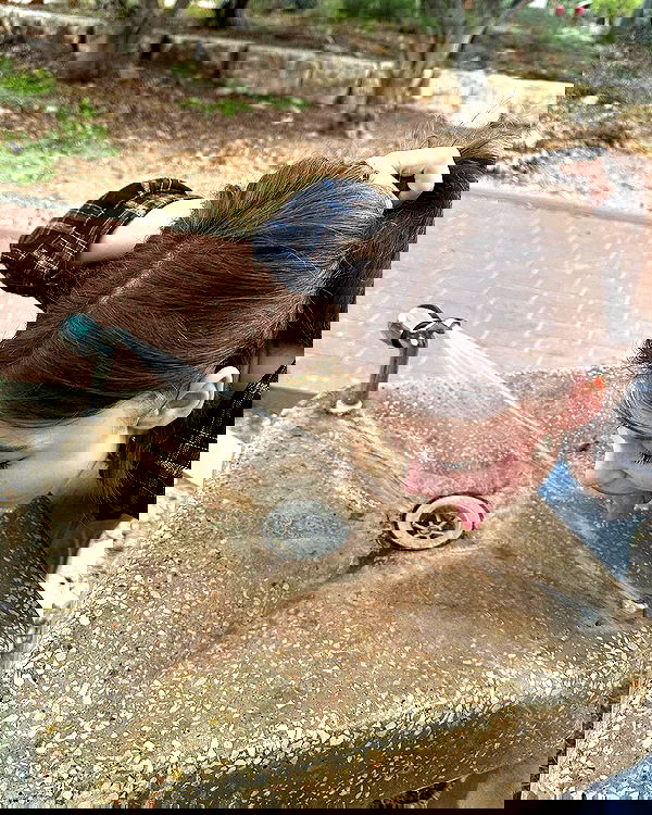 liashaked liashaked archive image