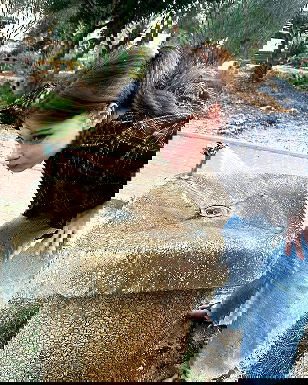 liashaked liashaked archive image