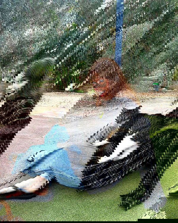 liashaked liashaked archive image